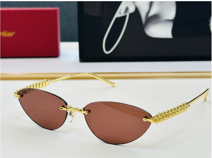 Kajia classic sunglasses
